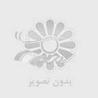 مینا لار